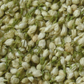 Dried Jasmine Buds