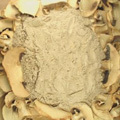 Freeze Dried Agaricus Bisporus Powder