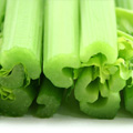 Freeze Dried Celery Cut