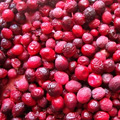 Freeze Dried Cranberries