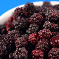 Organic Freeze Dried Blackberries