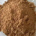 Freeze Dried Papaya Powder