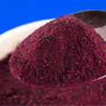 Organic Freeze Dried Blueberry  Powder